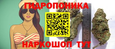 mdpv Камышлов