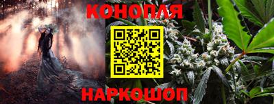 дживик Кандалакша