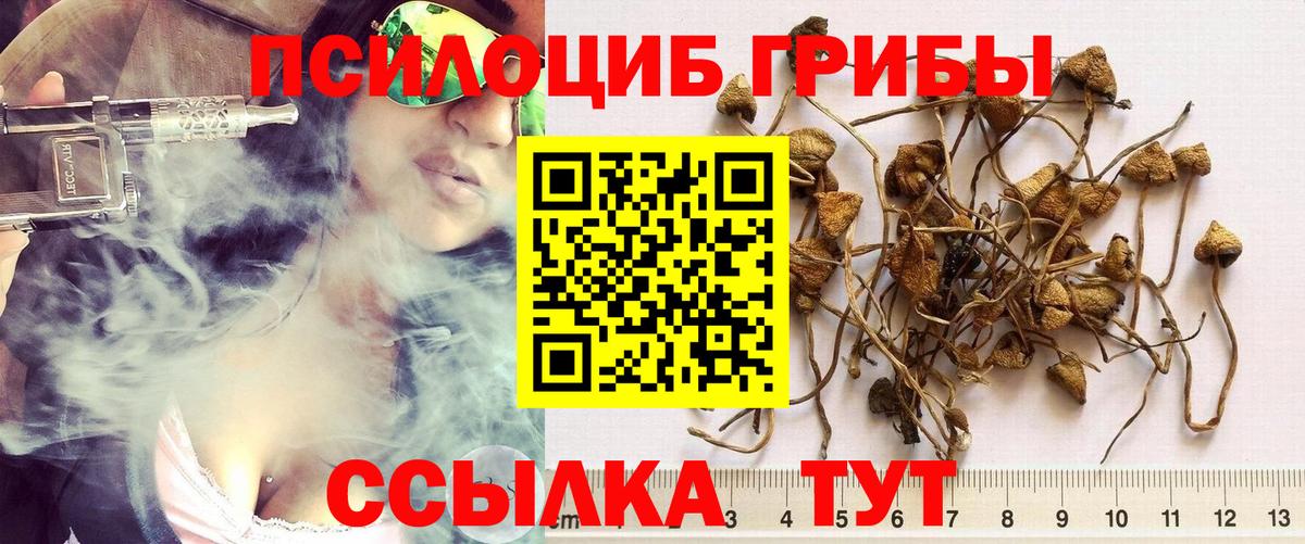 Лесной  Галлюциногенные грибы MAGIC MUSHROOMS  Вход с VPN 